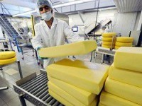 Убытки польских производителей сыра